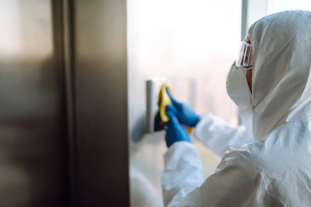 Best Toxic Mold Removal  in South Paris, ME